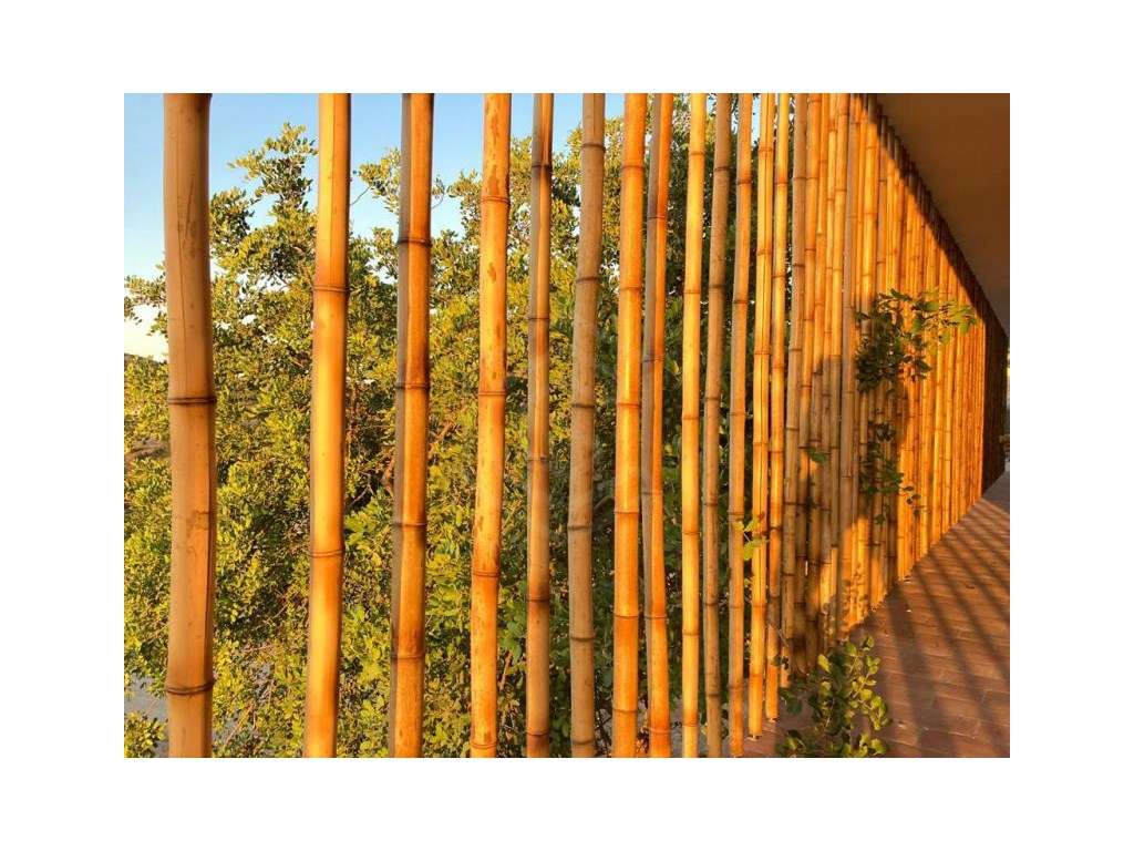 Moradia T4 com vistas deslumbrantes serra e mar, em Santa Bárbara d... - Grande imagem: 2/39