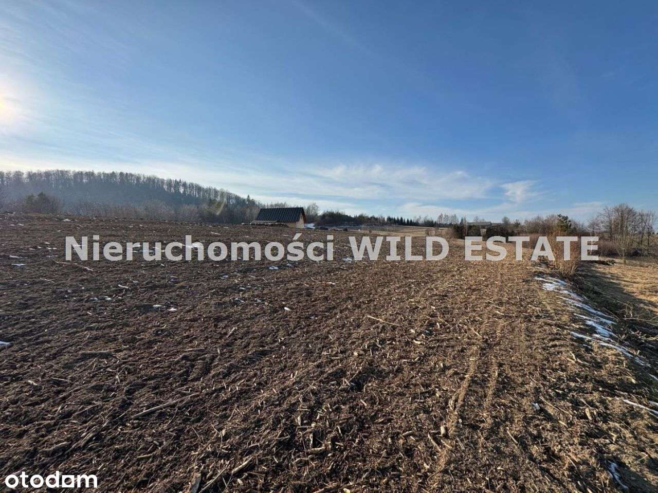 Działka, 24 531 m², Solina - Pełny obrazek: 4/12