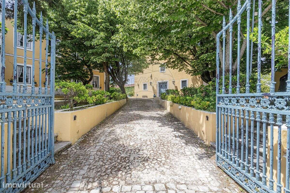 Quinta T21 para venda-32