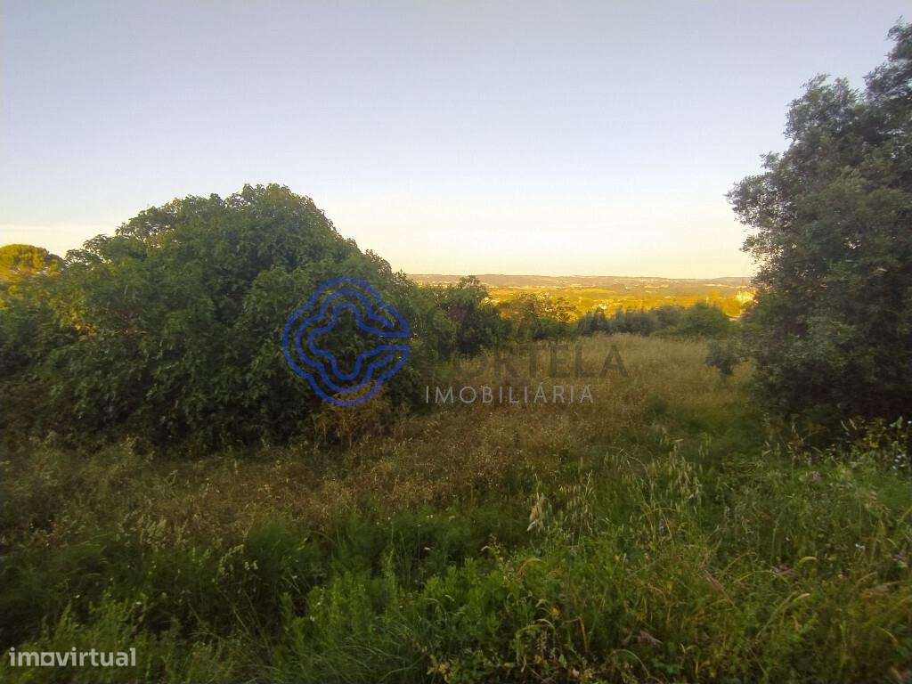 Lote de terreno com projeto aprovado a 2 minutos do centro da cidade d - Grande imagem: 5/33