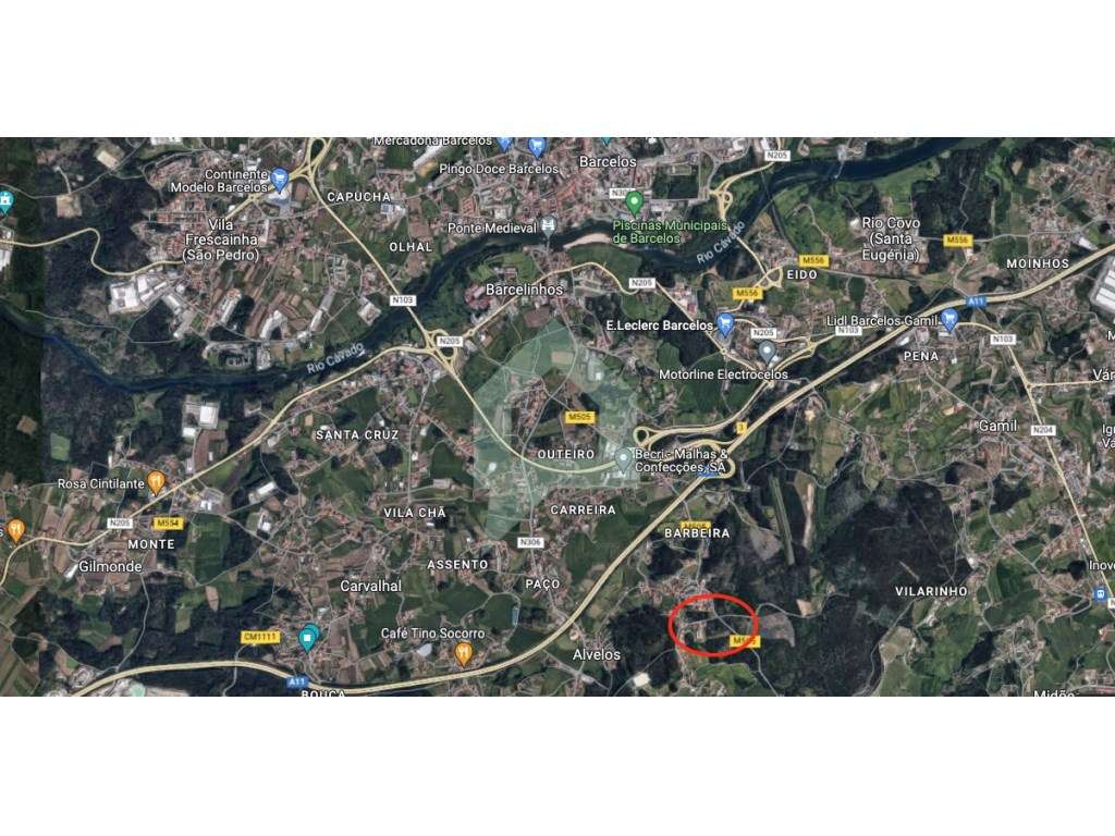 Terreno de pinhal inserido em zona de construção Alvelos, Barcelos - Grande imagem: 4/15
