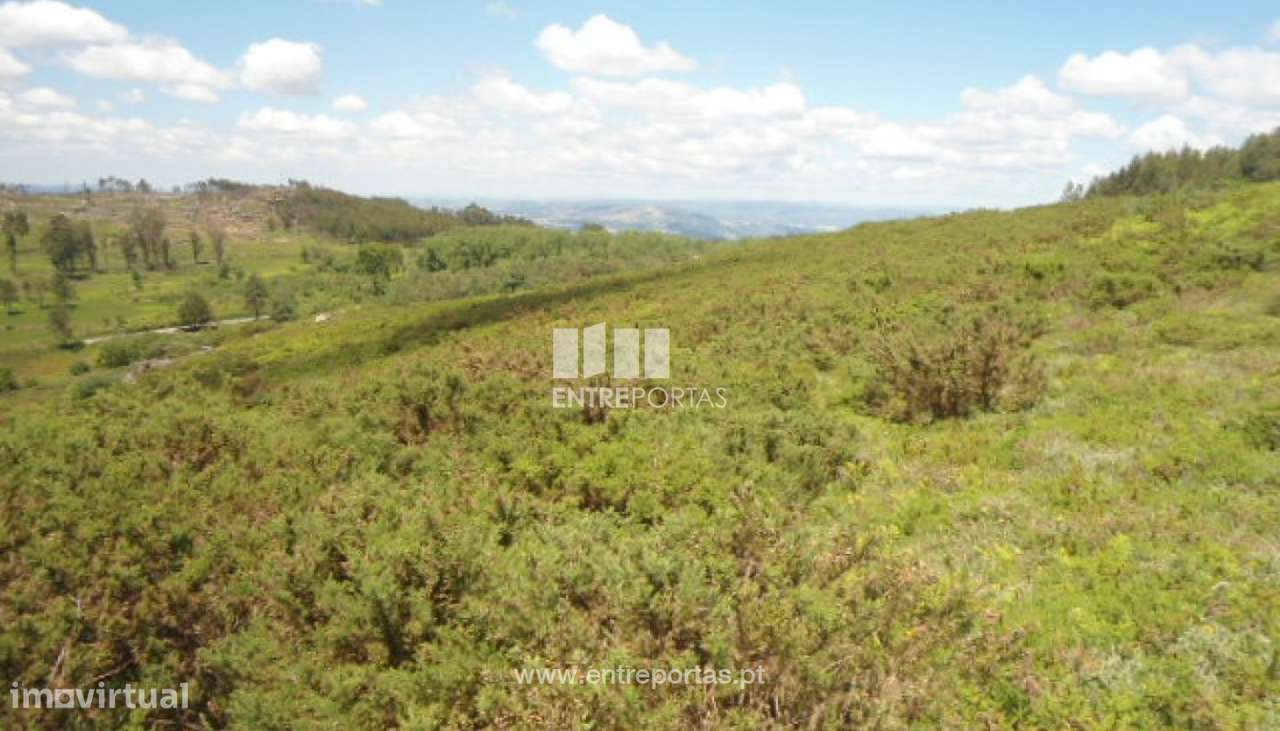 Venda Terreno, Sande, Marco de Canaveses - Grande imagem: 4/16