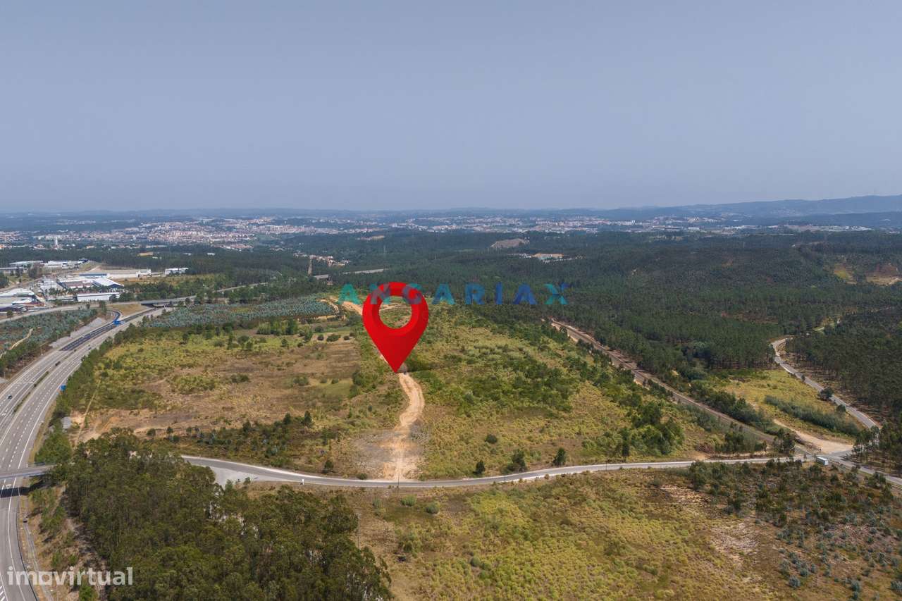 ANG380 - Terreno 42.5ha para Venda em Barosa - Grande imagem: 3/35