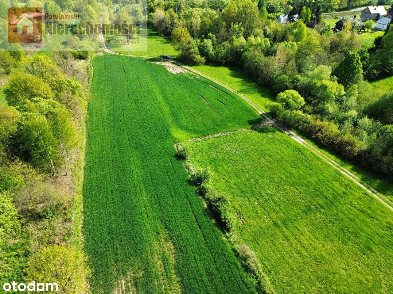 Działka, 5 300 m², Wola Radziszowska - Pełny obrazek: 5/10