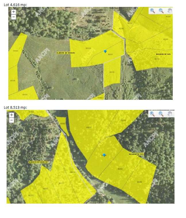 Terenuri extravilane Bughea de Sus si Albestii de Muscel Arges - Imagine principală: 5/5