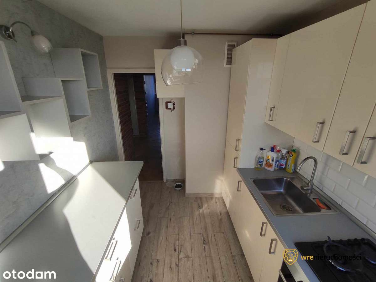 Przytulny pokój - od zaraz - z widokiem na zieleń - Pełny obrazek: 5/8