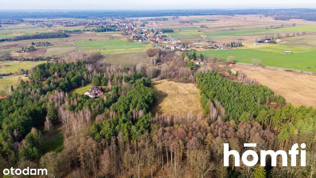 Działka 1,37 ha przy lesie | Zabudowa zagrodowa - Pełny obrazek: 5/11