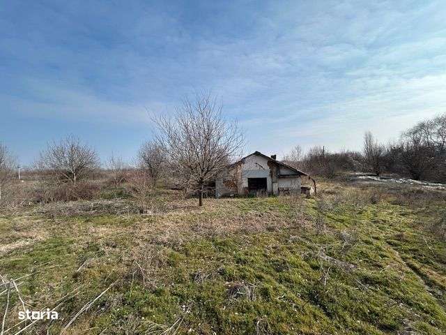 Poienarii Apostoli Gorgota 9500 mp teren intravilan - Imagine principală: 5/20