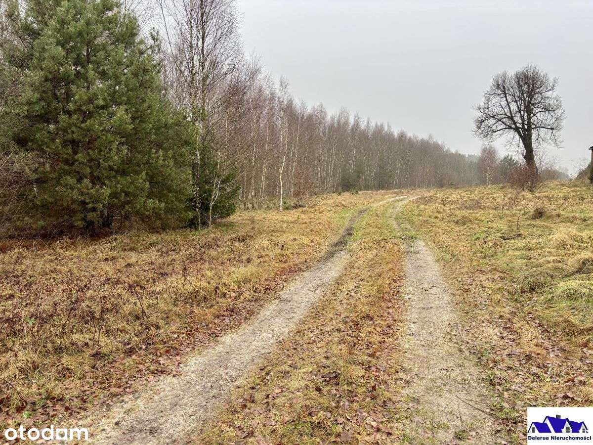 Działki budowlane gmina Czersk-7