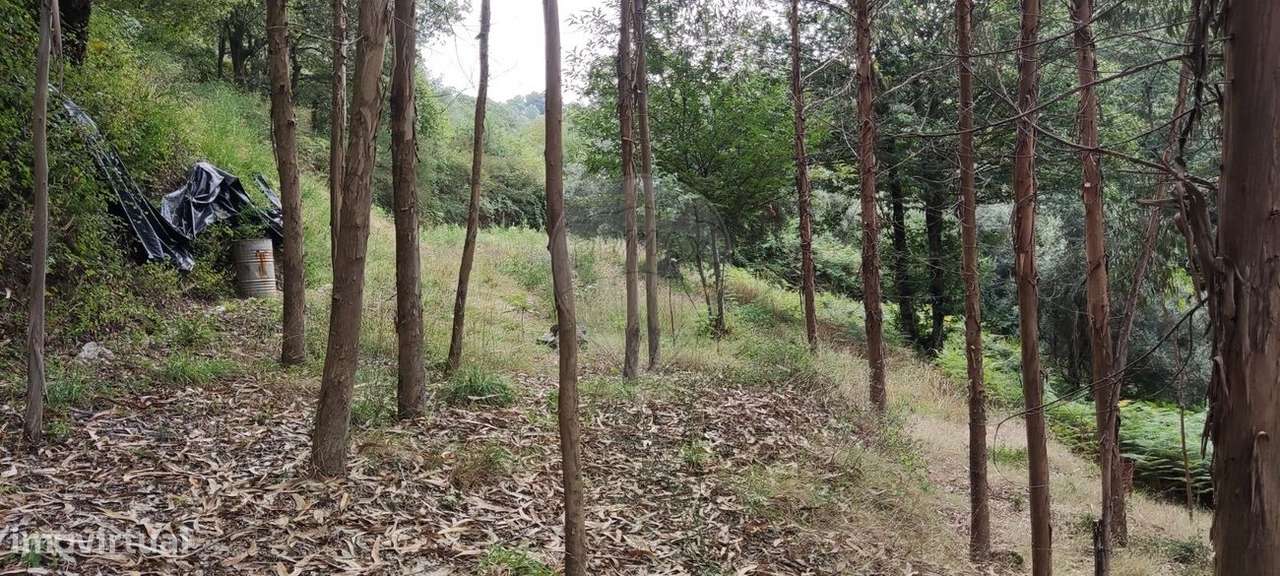 Terreno  para venda - Grande imagem: 3/12