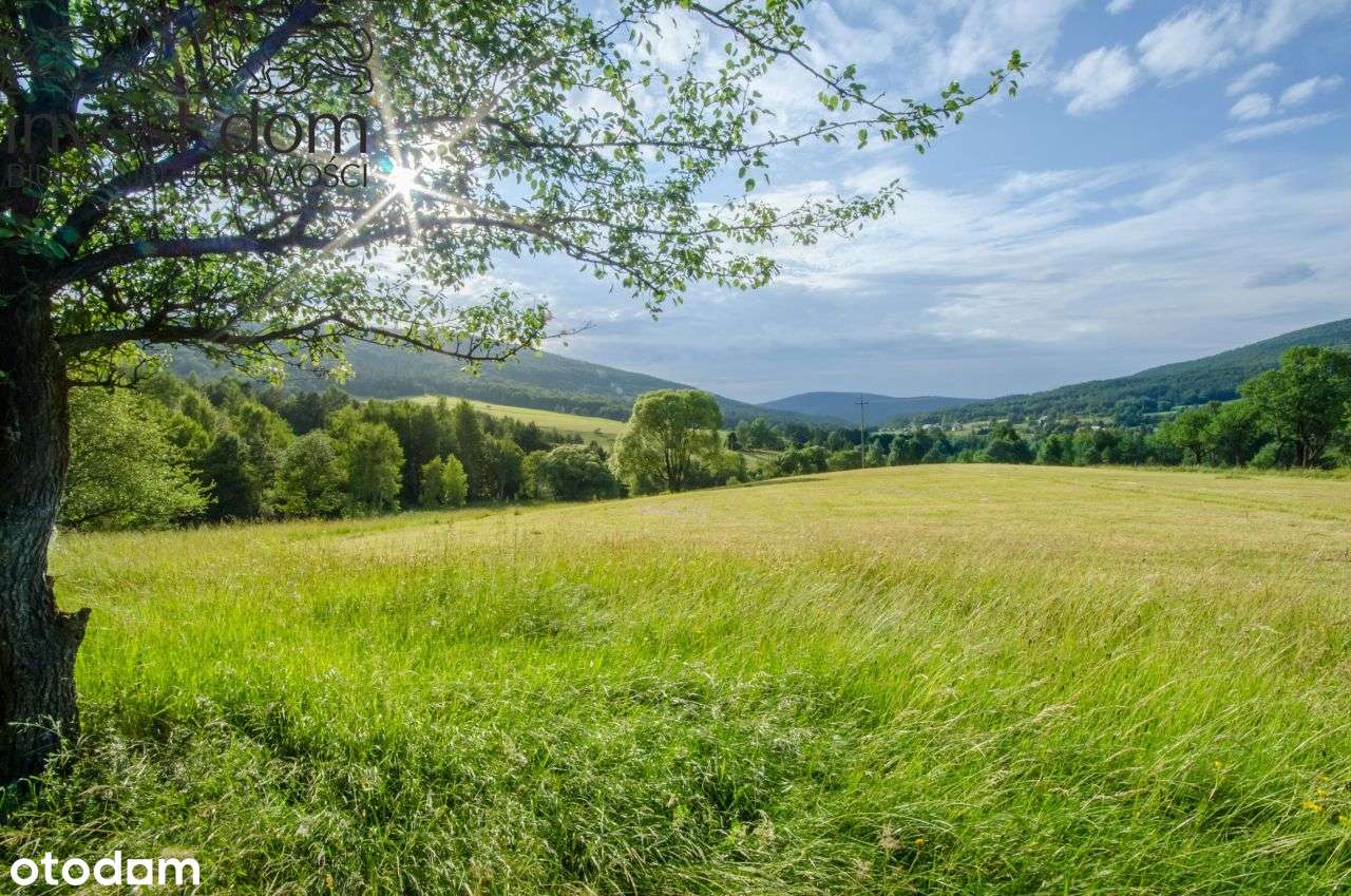 Oaza Spokoju w Beskidzie Niskim – Działka w Bartne - Pełny obrazek: 4/13