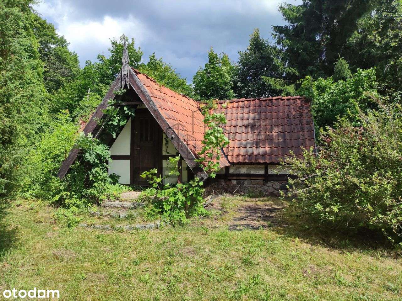 Bajkowe siedlisko z linią brzegową - Warmia i Mazu-9