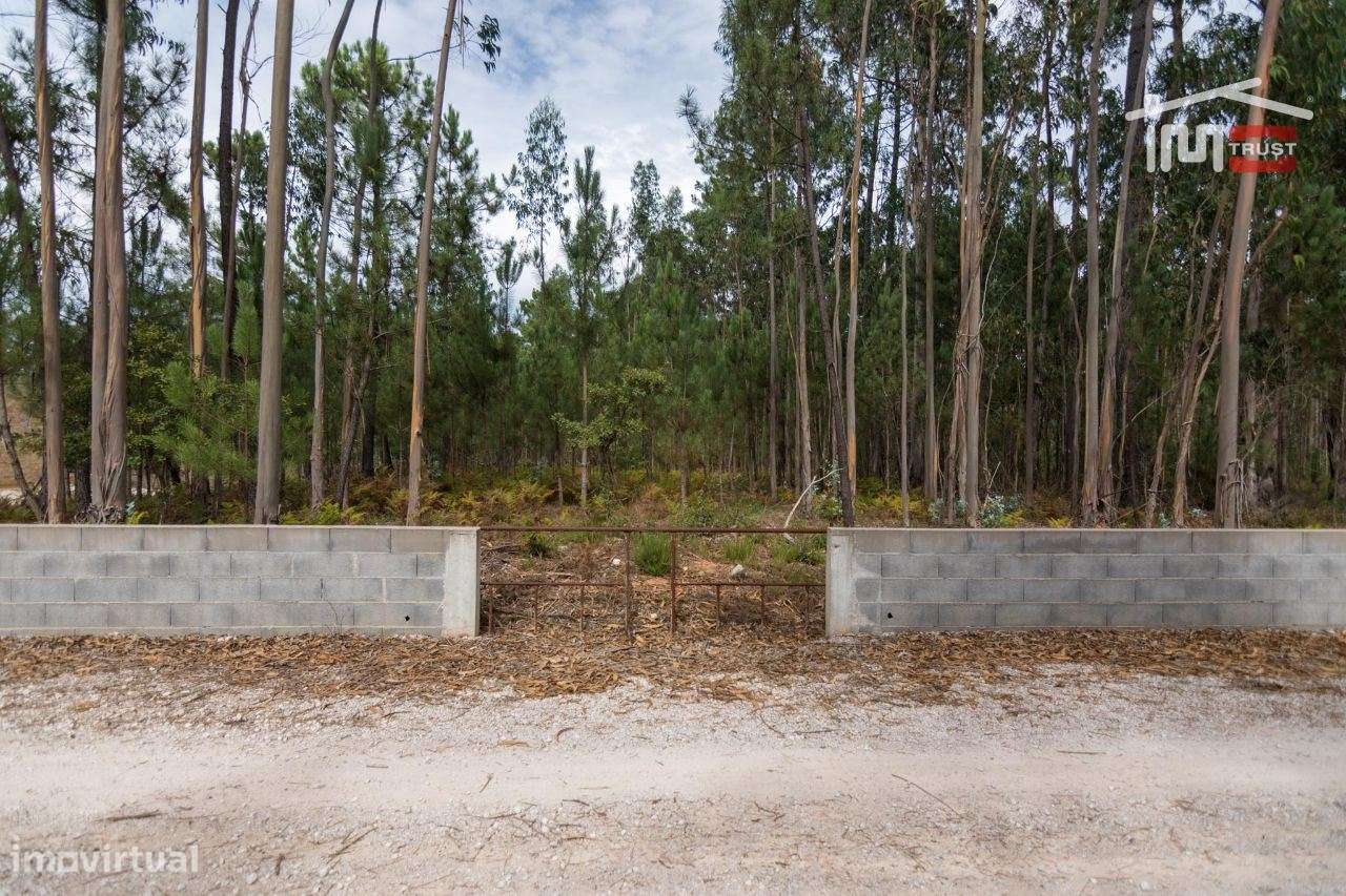 TERRENO RUSTICO COM AREA DE 2900 M2 BOA FRENTE DE ESTRADA EM MOITA ... - Grande imagem: 3/8
