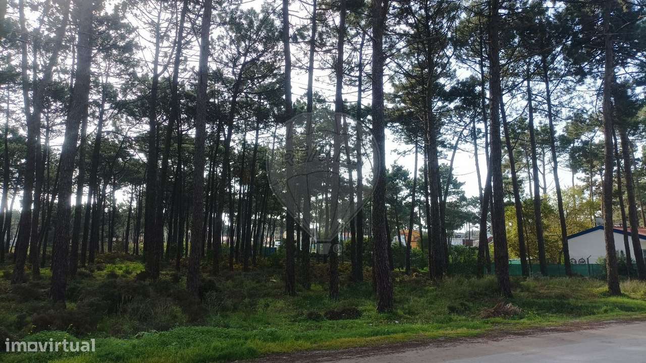 Terreno  para venda - Grande imagem: 5/10