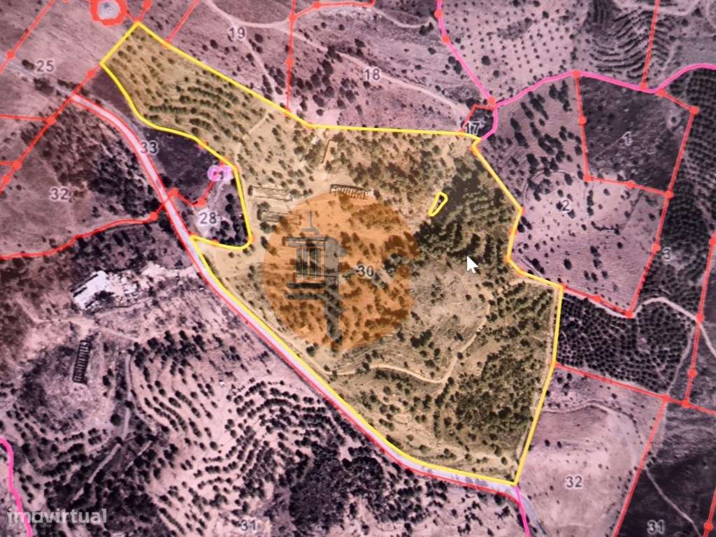 TERRENO COM 113.000 M2 - COM ÁGUA - ELETRICIDADE - ESTUFAS - PARA C... - Grande imagem: 2/18