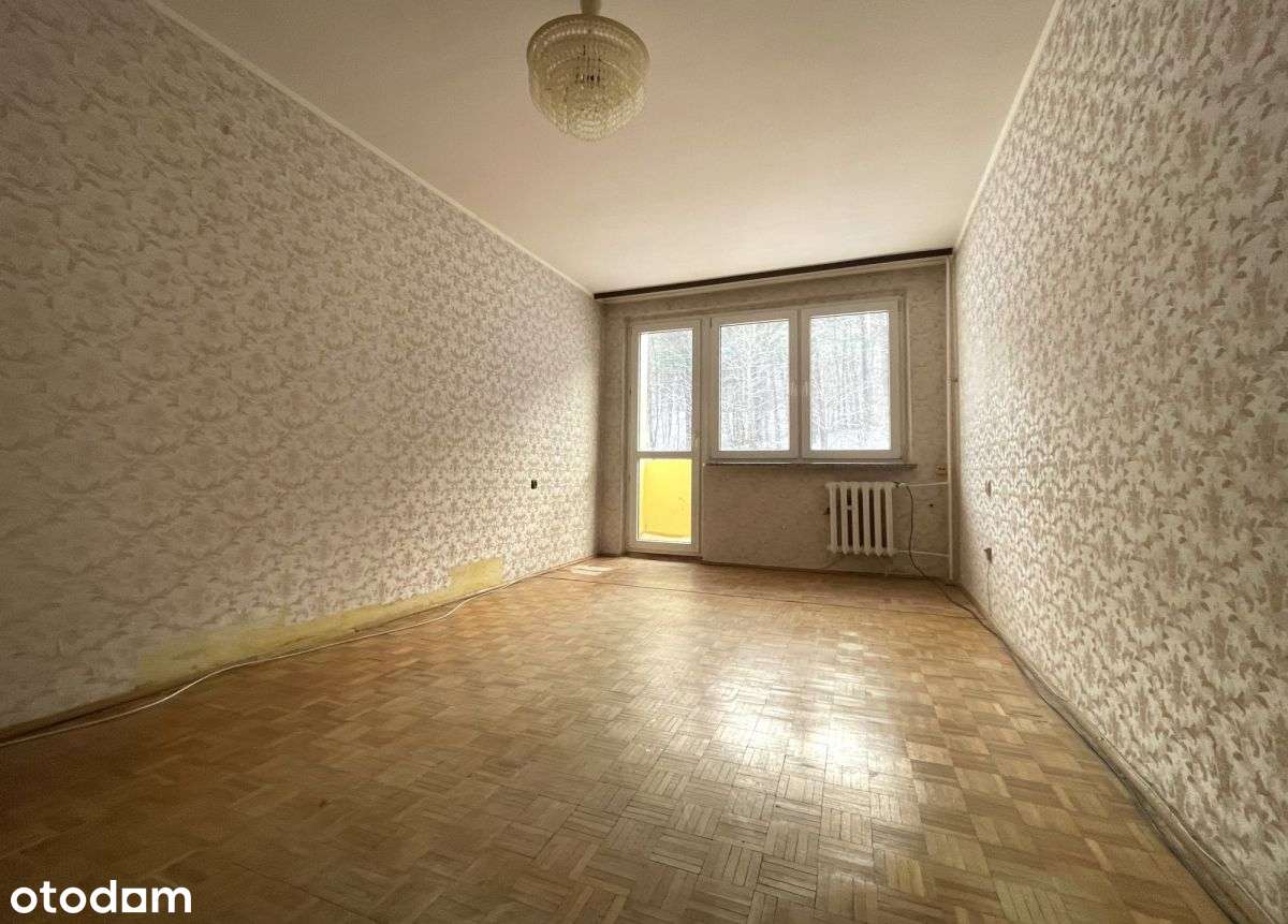 2-pokojowe mieszkanie z widokiem na las Gdynia-1