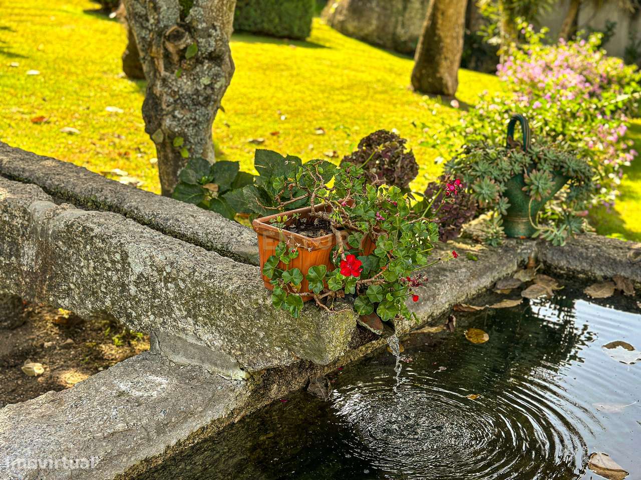 Quinta e Herdade T5 - Grande imagem: 4/60