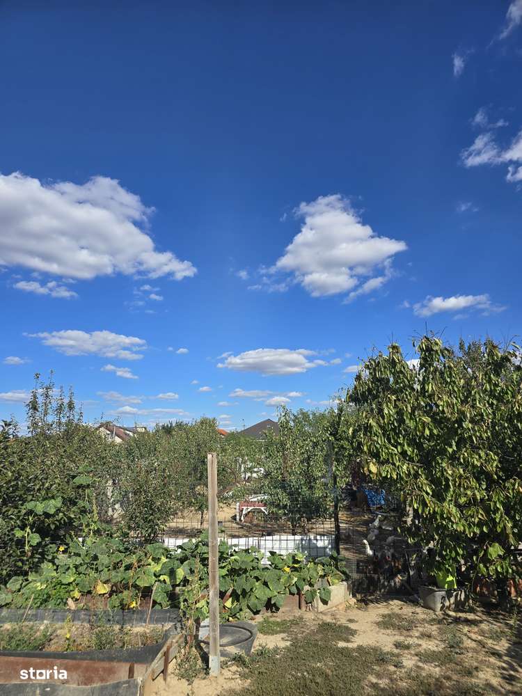 Parta-casa si teren 719-3 camere-9