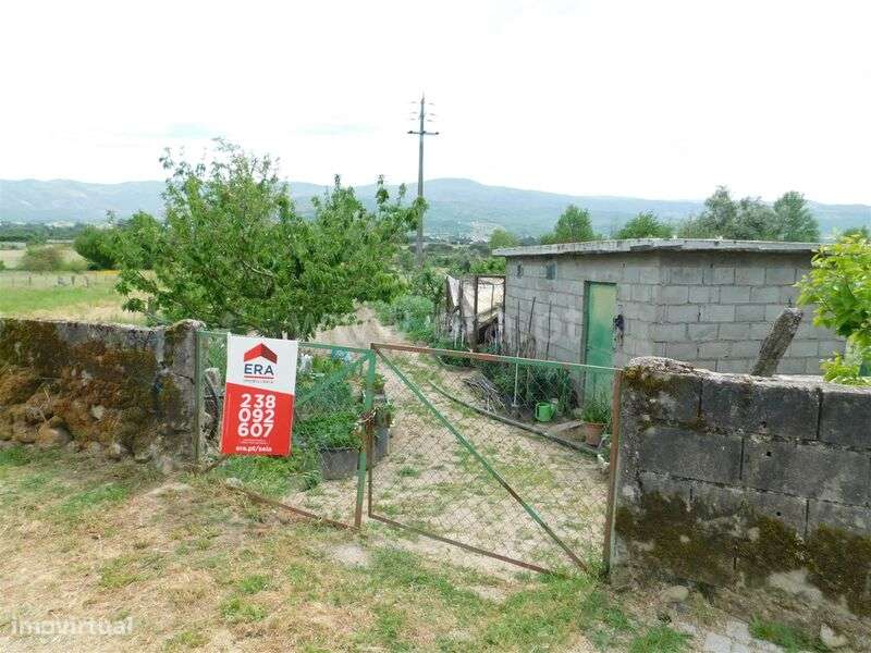 Terreno Rústico / Seia, Pinhanços - Grande imagem: 3/7