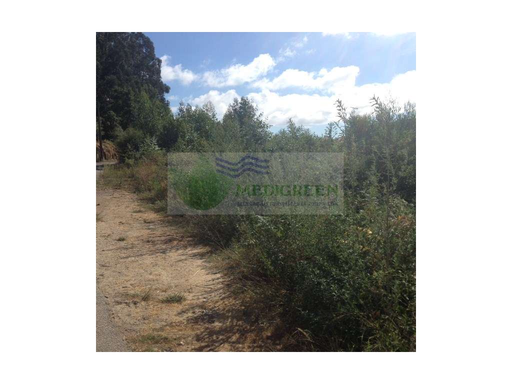 EXCELENTE TERRENO EM PESSEGUEIRO DO VOUGA - Grande imagem: 4/4