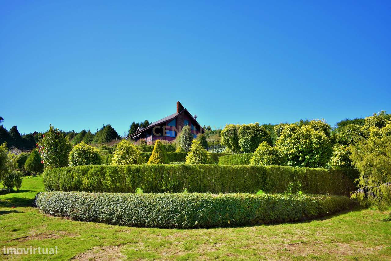 Espetacular Quinta - Santo António da Serra, Madeira, Portugal - Grande imagem: 5/60