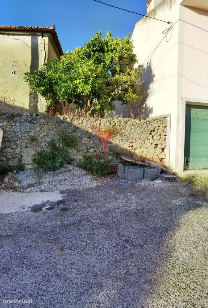 Excelente oportunidade de negócio, pavilhão para seu projeto agrícola. - Grande imagem: 4/23