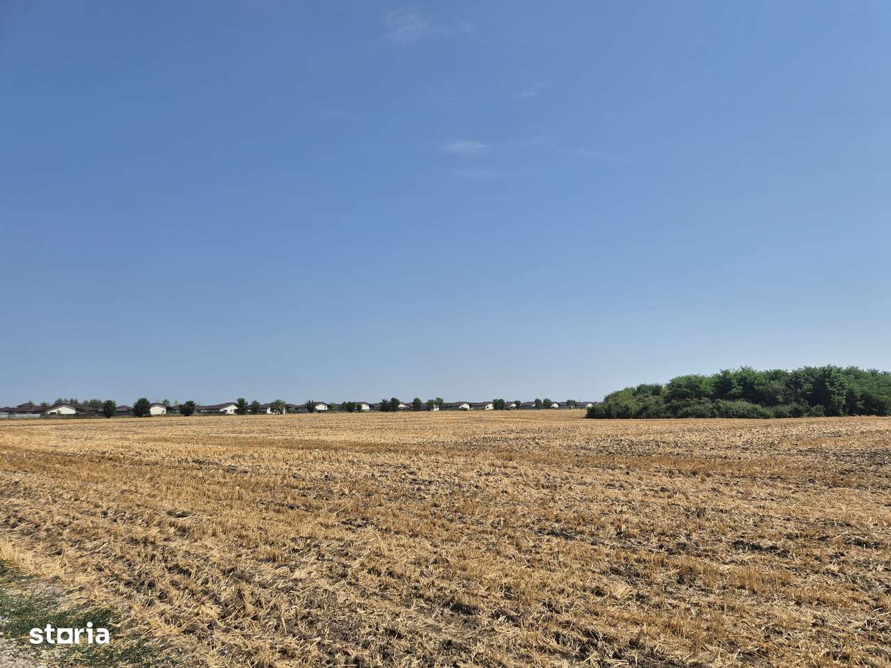 Teren intravilan 4428 mp - Balotesti - Imagine principală: 5/5