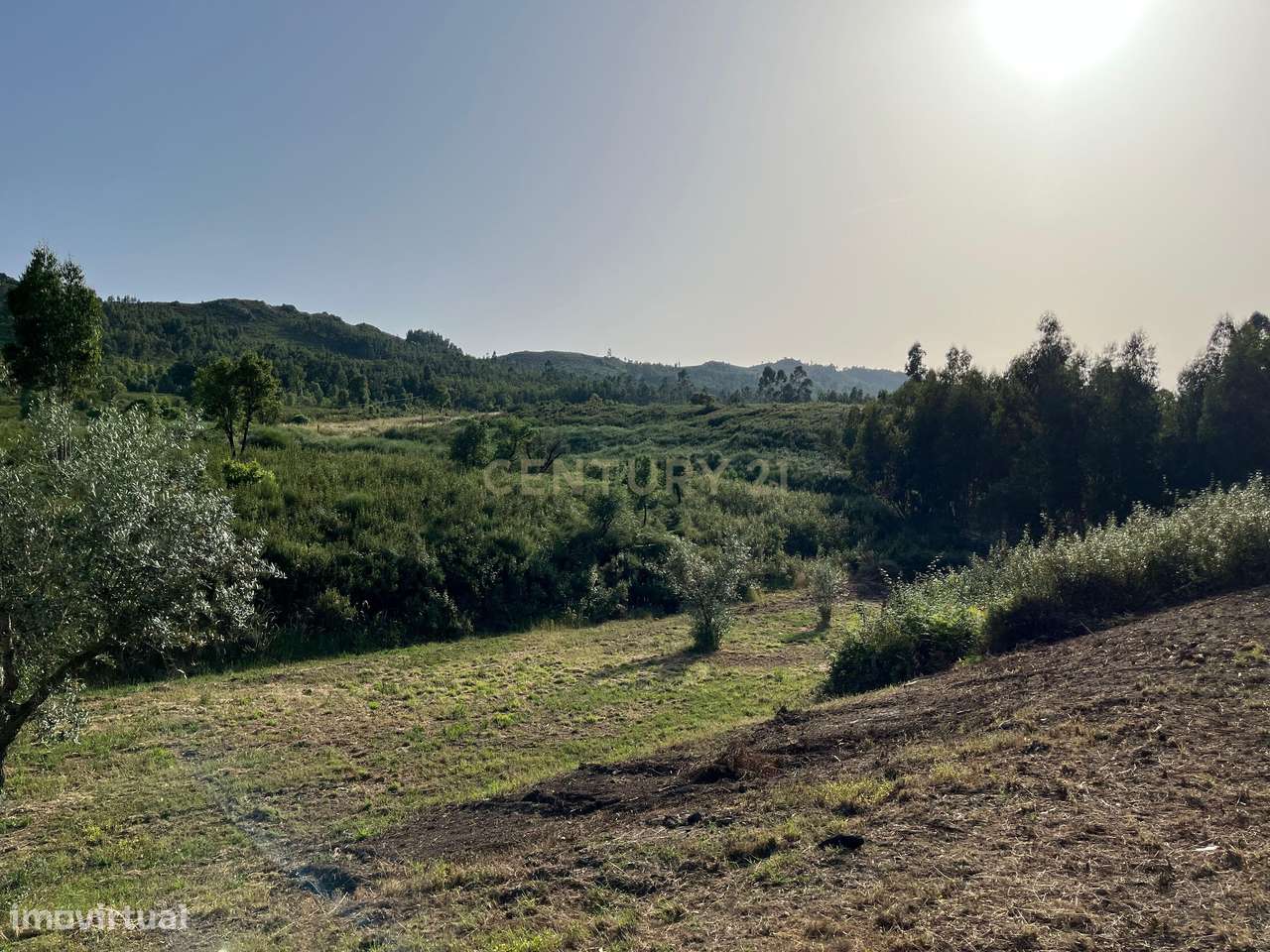 Propriedade de Campo com 35.400 m² entre o Robalo e o Monte Fundeiro n - Grande imagem: 5/50