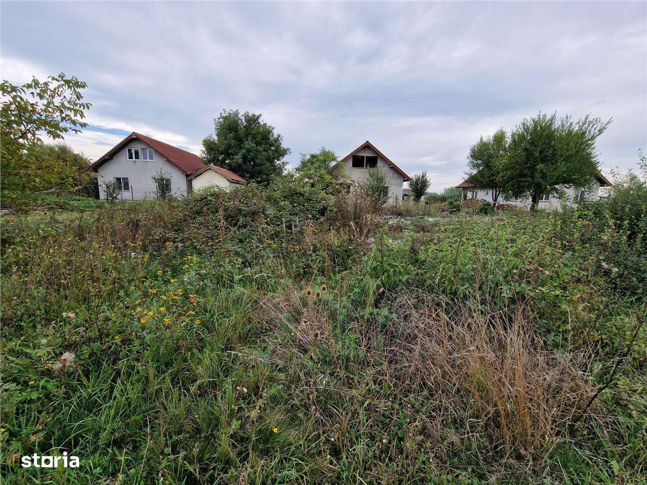 RECO teren intravilan Ineu - Imagine principală: 3/7