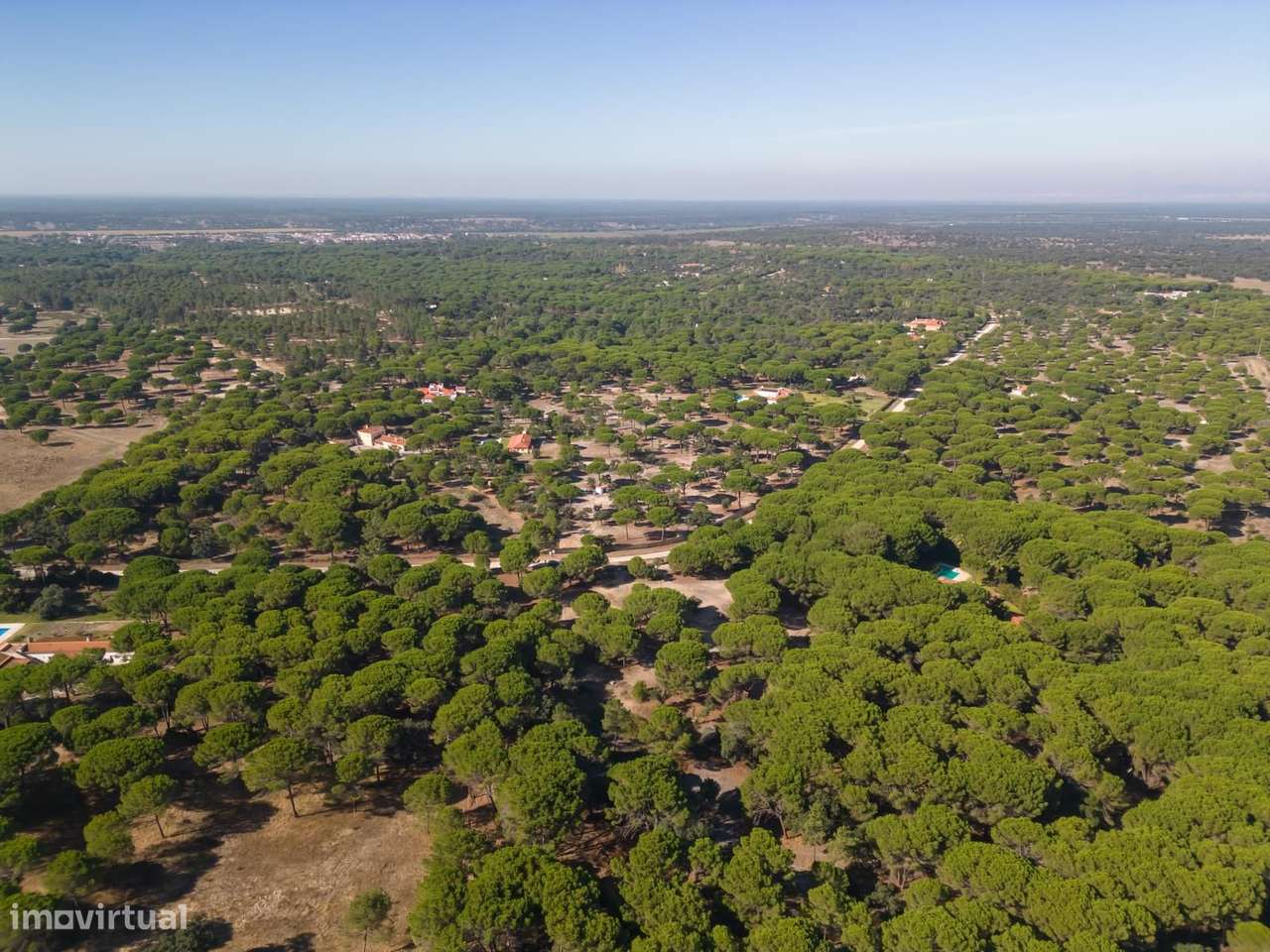 Terreno 2.6 ha, Santo Estevão, Benavente - Grande imagem: 4/24