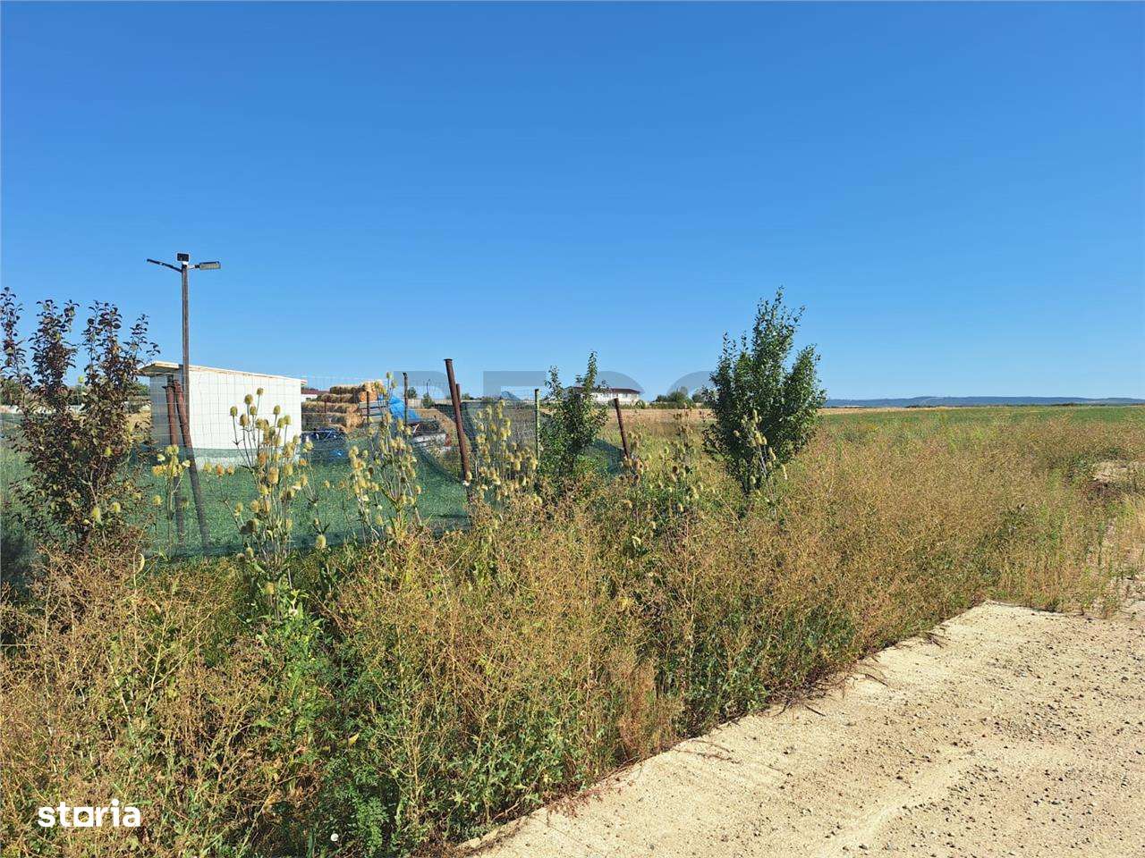 RECO, Teren Osorhei la E60 - Imagine principală: 4/8