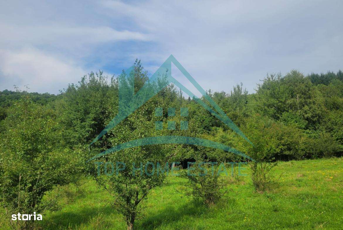 Teren pentru cabana/pensiune zona Lac Micesti!-4