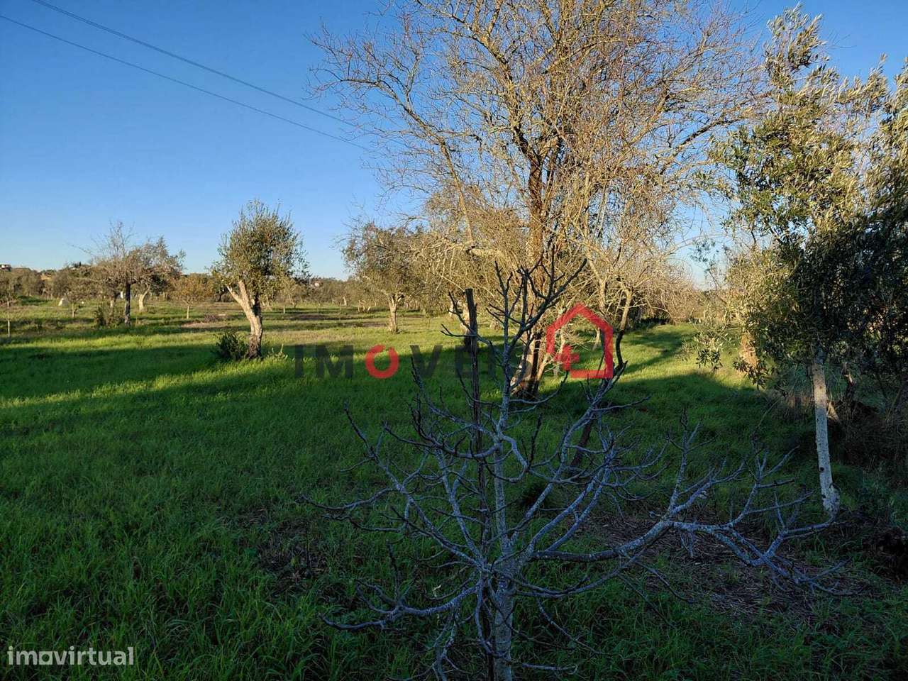 Moradia Térrea entre Ourém e Fátima-7