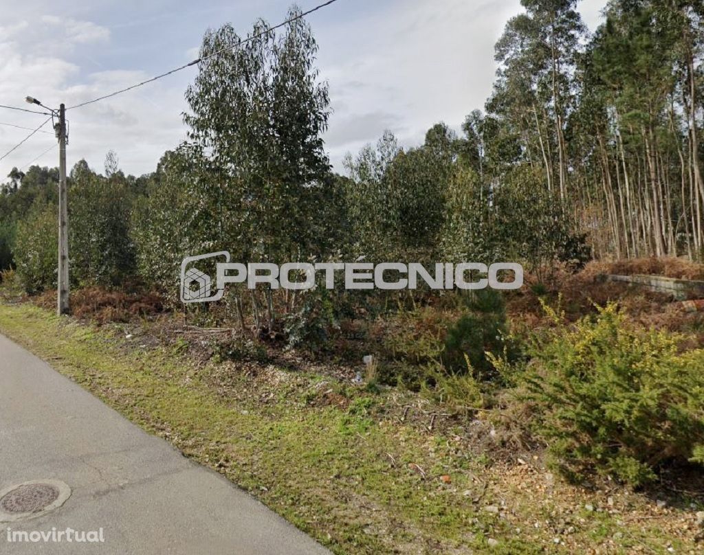 Terreno c/ 4.000m2 em Águeda – Para promotores