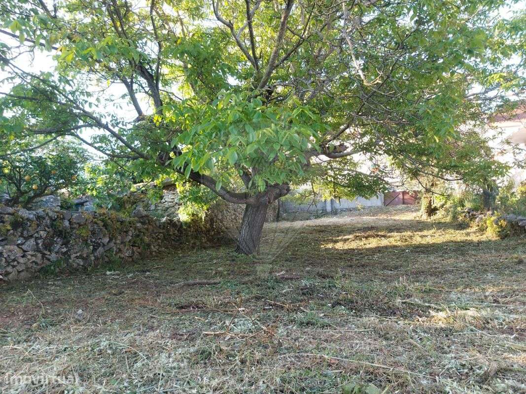 Terreno  para venda - Grande imagem: 3/12