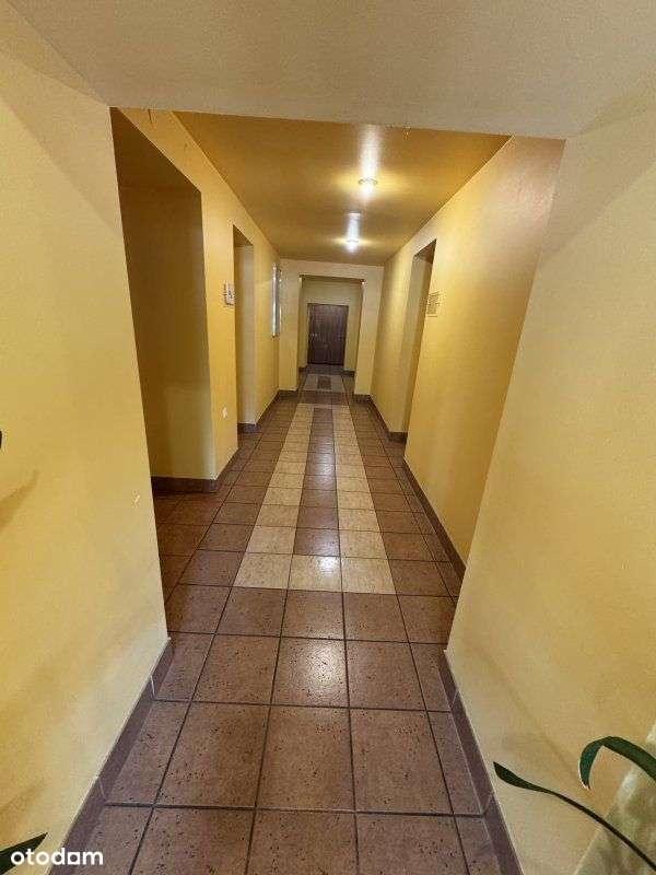 Lokal użytkowy, parter, biura - Pełny obrazek: 4/6