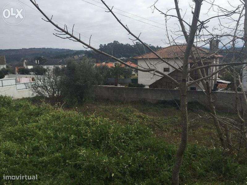 Lote para Construção em Mangualde - Grande imagem: 5/7