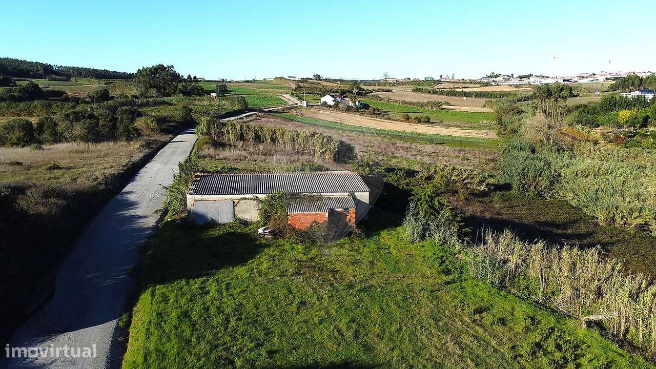 Armazém  para arrendamento - Grande imagem: 2/5