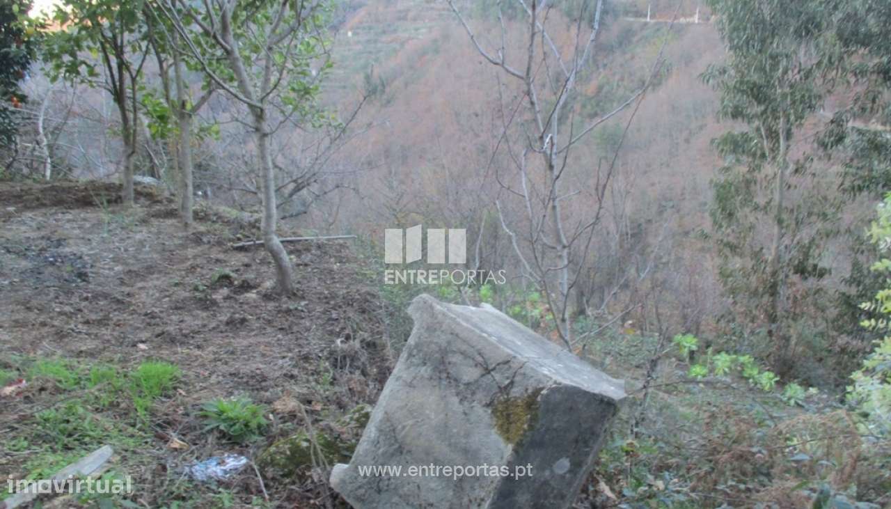 Venda Terreno,Carvalho de Rei, Amarante - Grande imagem: 5/19