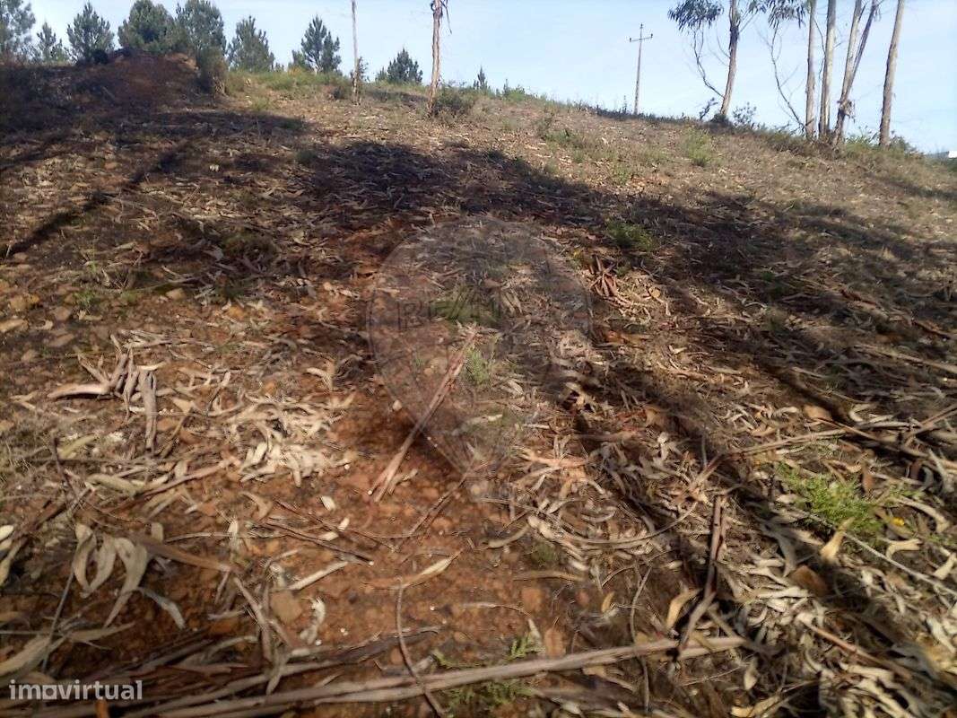 Terreno  para venda - Grande imagem: 4/9