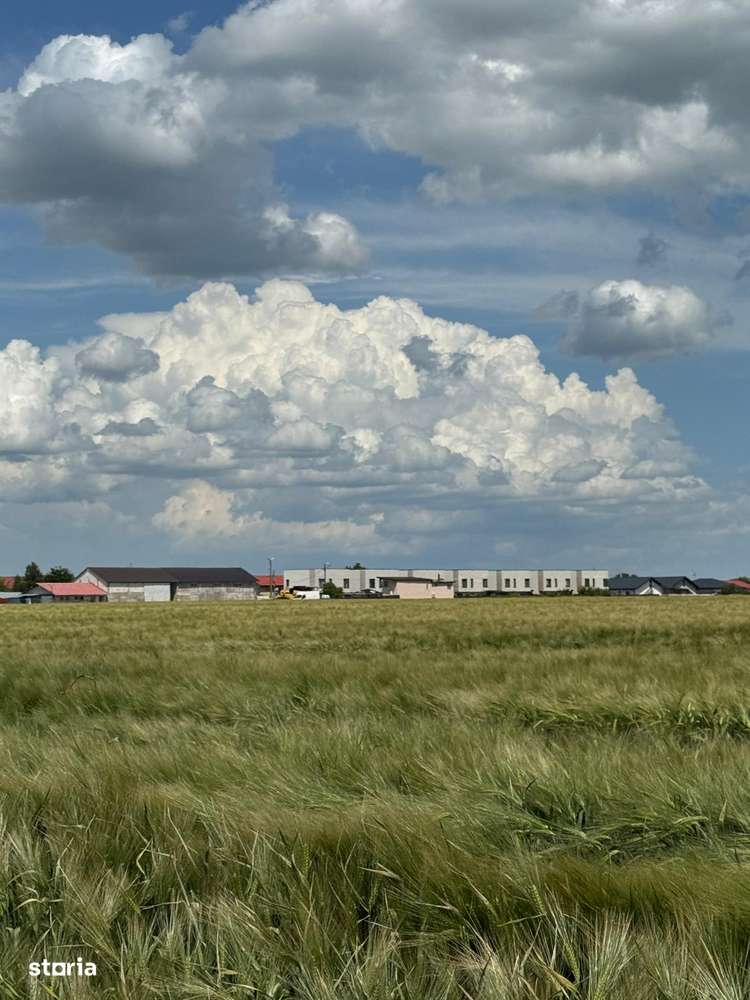 Vanzate Teren intravilan Cernica 4000MP - Imagine principală: 2/12