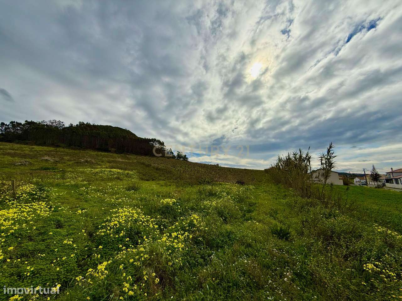 Terreno Rústico c/17 960m2 e vinhas antigas - Grande imagem: 5/11