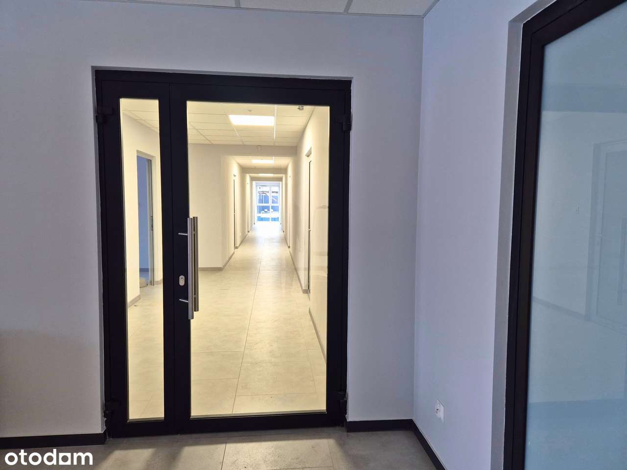 Nowoczesne Biura/7 BIUR/ 271 M2/OLSZEWSKIEGO 22 A - Pełny obrazek: 5/16