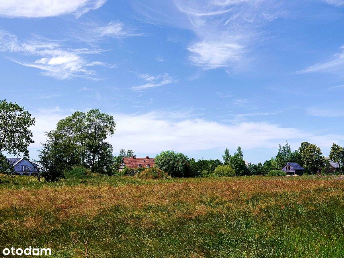 Żuławy Wiślane, wieś Bronowo, zostały 2 działki - Pełny obrazek: 5/6