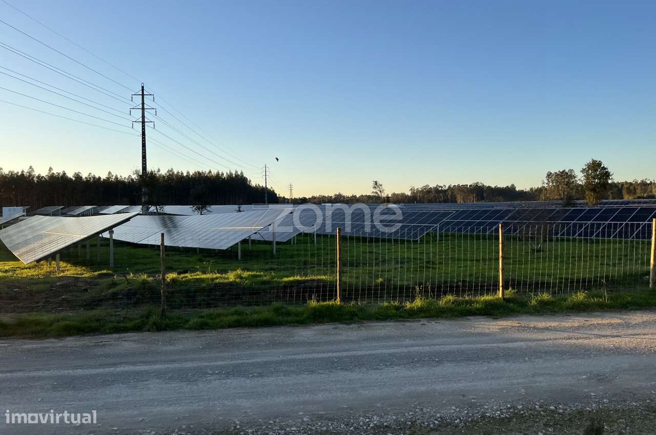 Terreno rústico com 7200M2 - Cantanhede - Grande imagem: 5/15