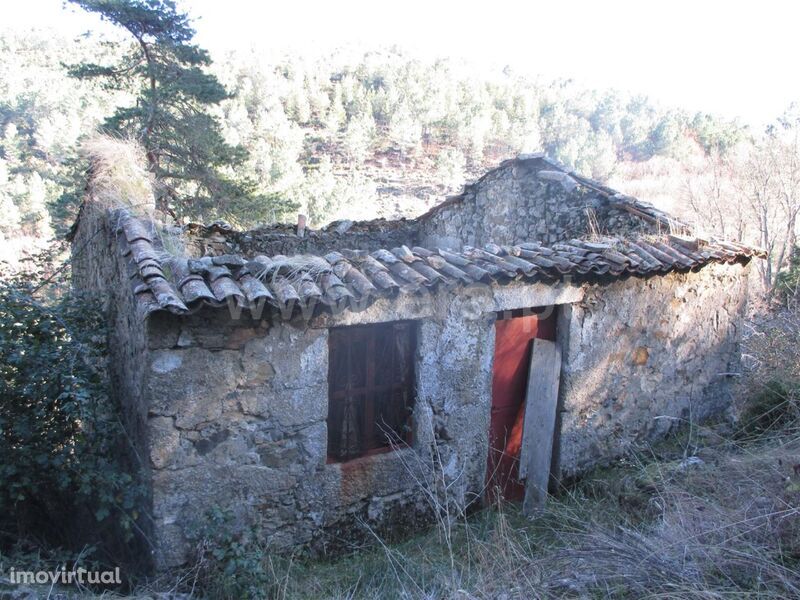 Quintinha / Fundão, Alcongosta