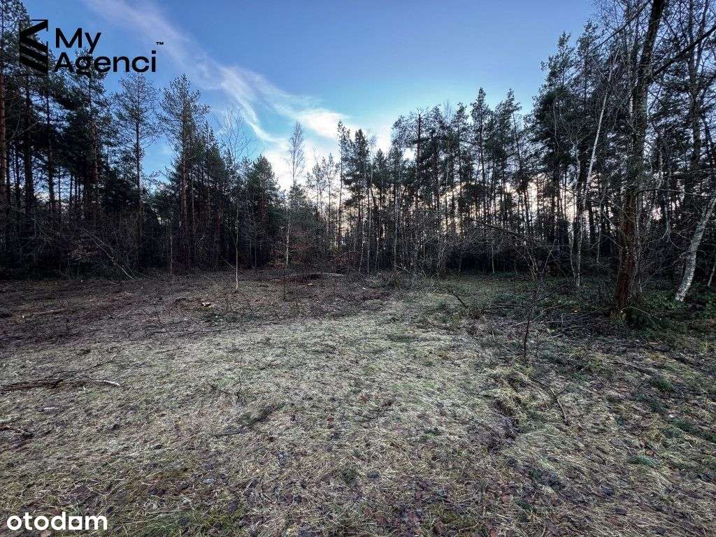 Lewino, ul. Lipowa - działki na sprzedaż-19