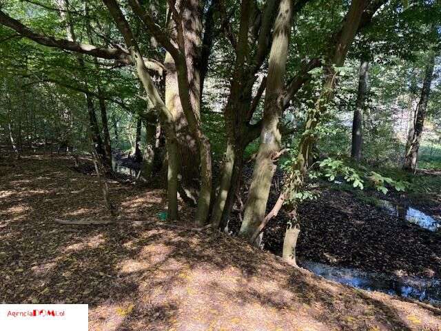 Siestrzeń, 10 000m,do podziału na 6 działek,z Mpzp-15