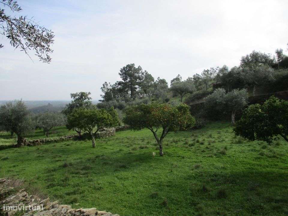 Quintinha - Grande imagem: 4/14