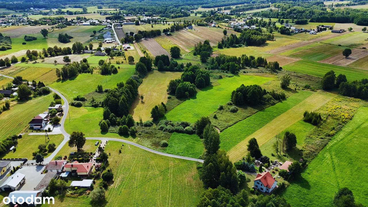 Działka rolna 8500 m2 w Boguszycach - Pełny obrazek: 4/14